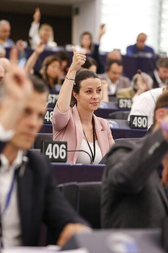 Zdjęcie 14: EP Plenary session - Voting session