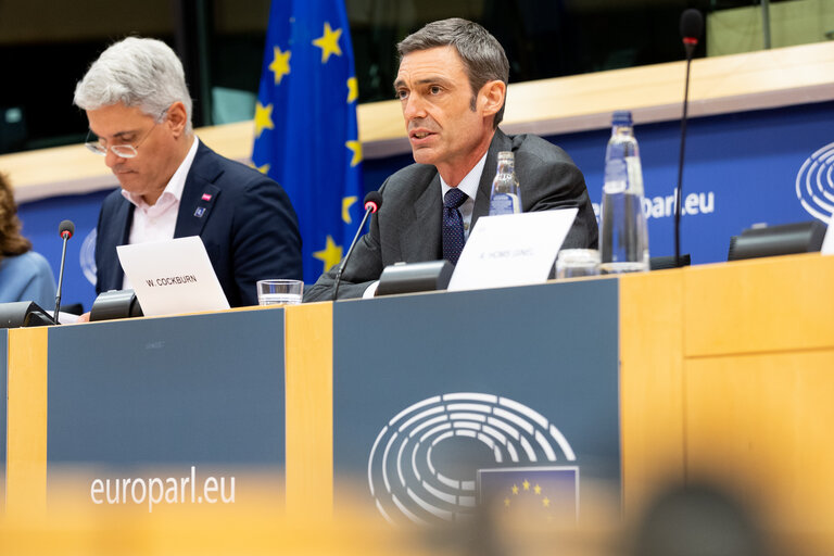 Foto 10: EMPL Committee - Hearing of William Cockburn (EU-OSHA executive director nominee)
