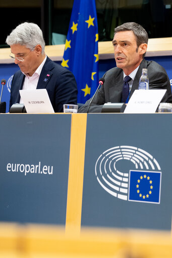 Foto 12: EMPL Committee - Hearing of William Cockburn (EU-OSHA executive director nominee)