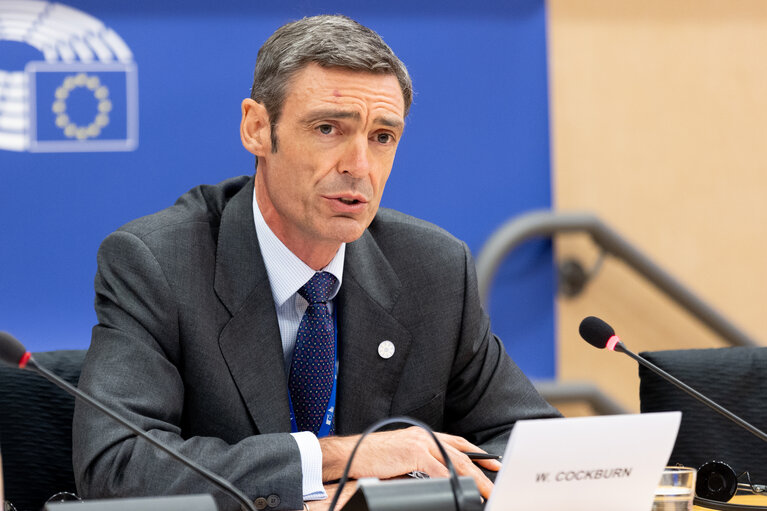 Foto 11: EMPL Committee - Hearing of William Cockburn (EU-OSHA executive director nominee)