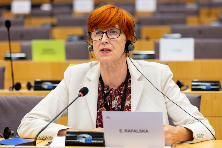 Foto 1: EMPL Committee - Hearing of William Cockburn (EU-OSHA executive director nominee)