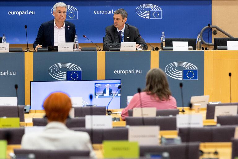 Foto 2: EMPL Committee - Hearing of William Cockburn (EU-OSHA executive director nominee)