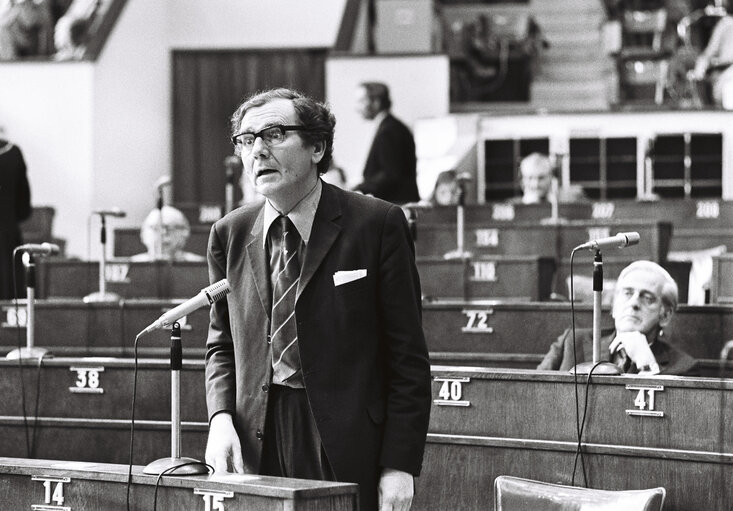 Plenary session Strasbourg may 1976