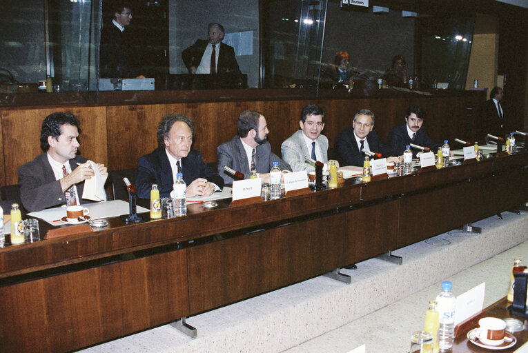 Photo 10 : Enrique BARON CRESPO EP President meets with a delegation from Poland in Brussels