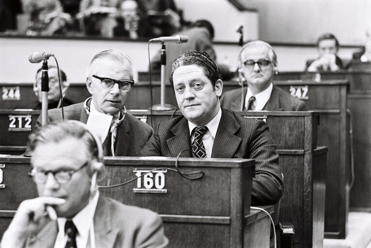 Plenary session Strasbourg march 1976