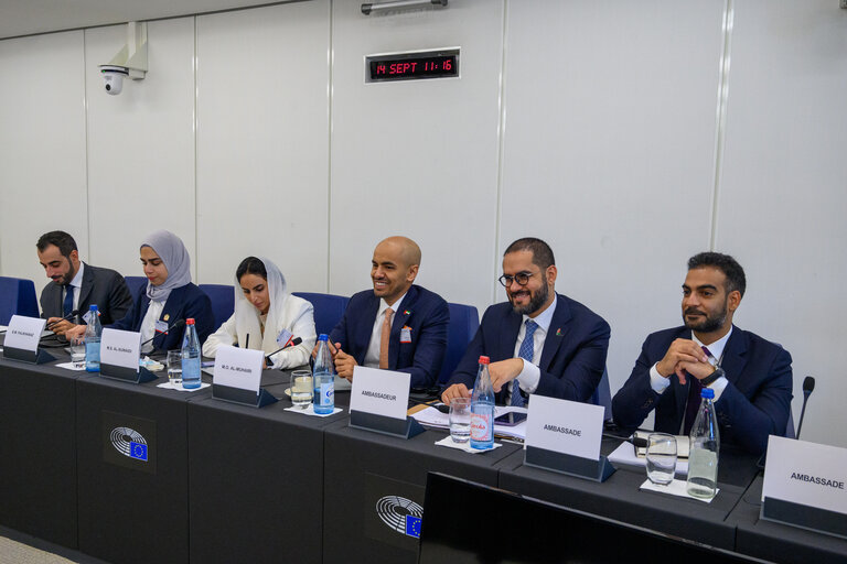 Nuotrauka 4: 8th EU-UAE Inter-Parliamentary meeting