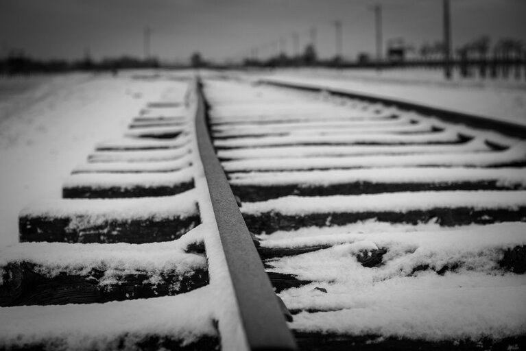 Photo 36 : Illustrative photo of the Auschwitz-Birkenau Memorial and Museum, a former German Nazi concentration and extermination camp, in Poland on January 18, 2022.