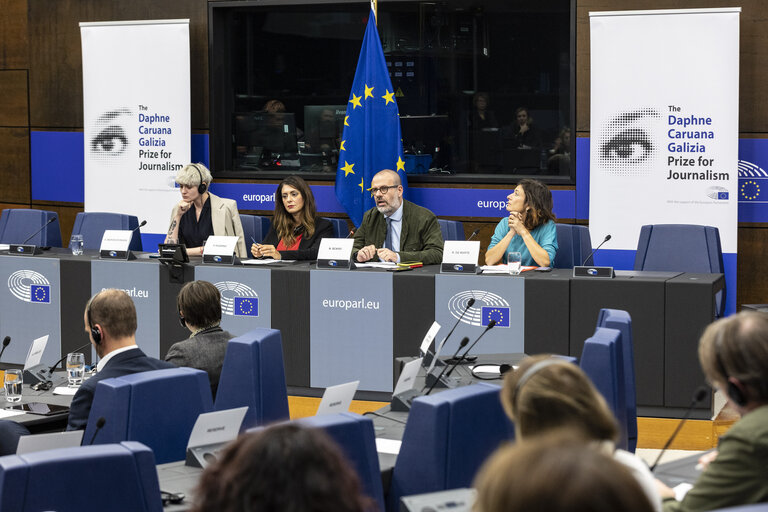 Fotografija 3: Press seminar on ' Safeguarding Media Freedom: the role of the European Union '