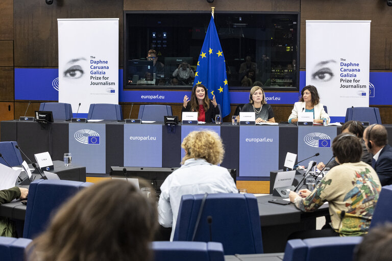 Fotografija 24: Press seminar on ' Safeguarding Media Freedom: the role of the European Union '