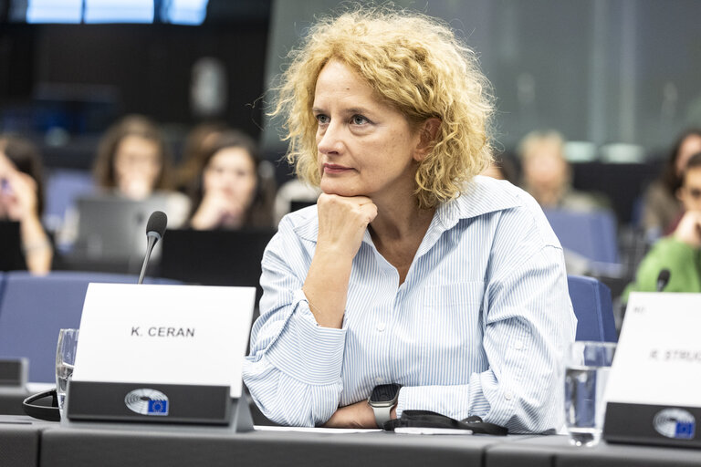 Fotografija 20: Press seminar on ' Safeguarding Media Freedom: the role of the European Union '