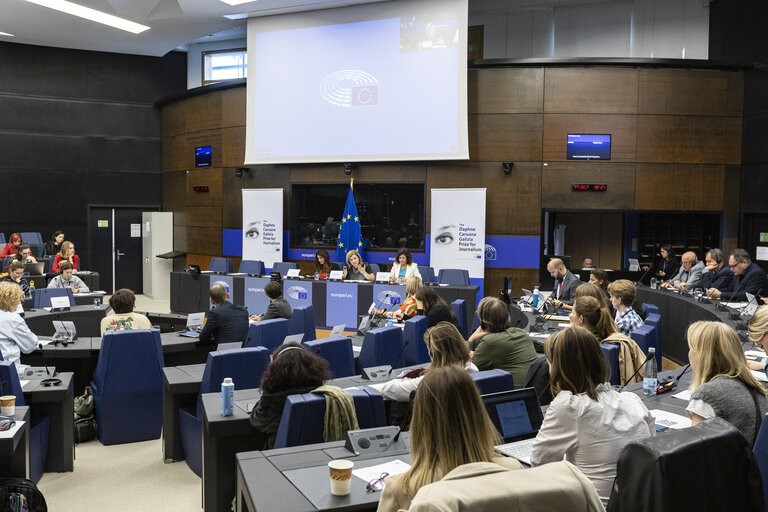 Fotografija 22: Press seminar on ' Safeguarding Media Freedom: the role of the European Union '