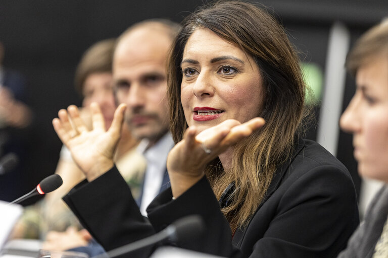 Fotografija 11: Press seminar on ' Safeguarding Media Freedom: the role of the European Union '