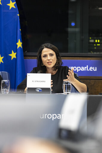 Foto 8: Press seminar on ' Safeguarding Media Freedom: the role of the European Union '