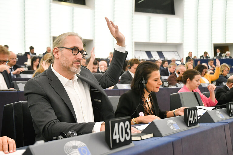 Fotografia 48: EP Plenary session - Voting session