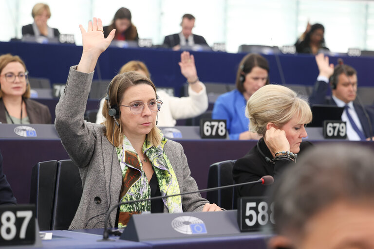 Nuotrauka 14: EP Plenary session - Voting session