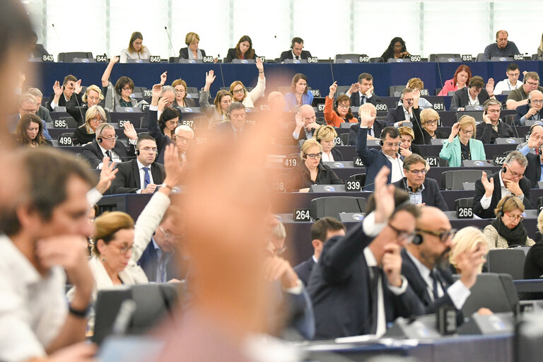 Fotografia 6: EP Plenary session - Voting session