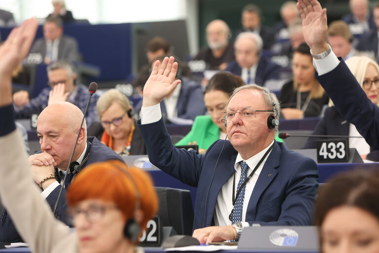 Fotó 7: EP Plenary session - Voting session