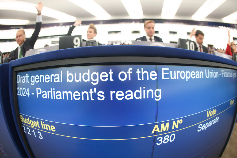 EP Plenary session - Voting session