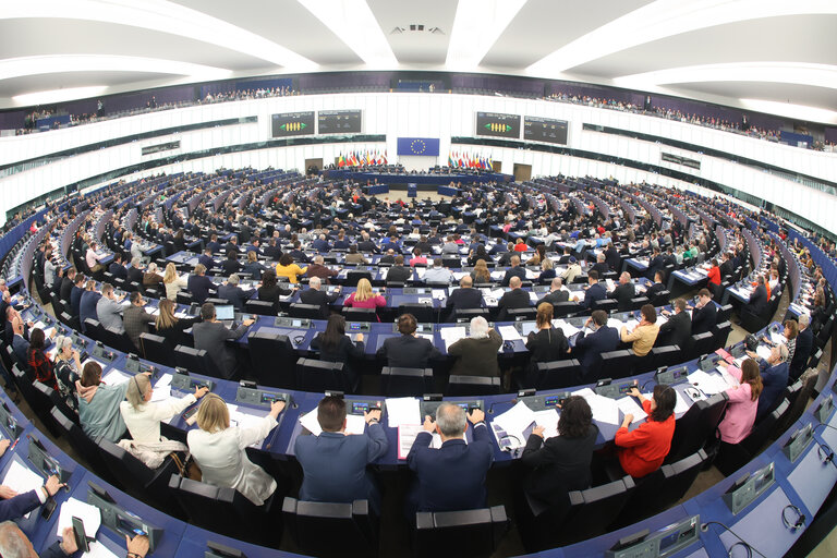 EP Plenary session - Voting session