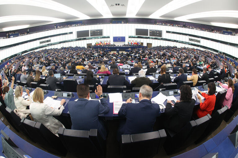 EP Plenary session - Voting session