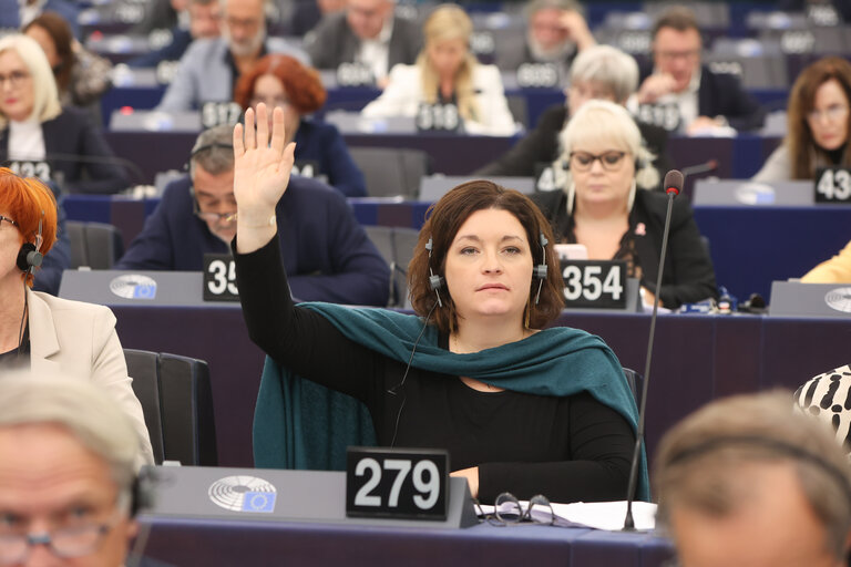 Fotó 1: EP Plenary session - Voting session