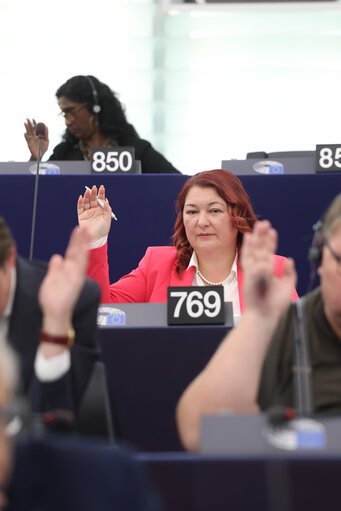 Fotó 18: EP Plenary session - Voting session