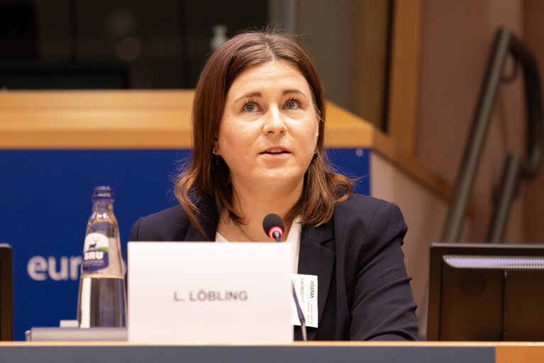 TRAN - Workshop on Combined transport