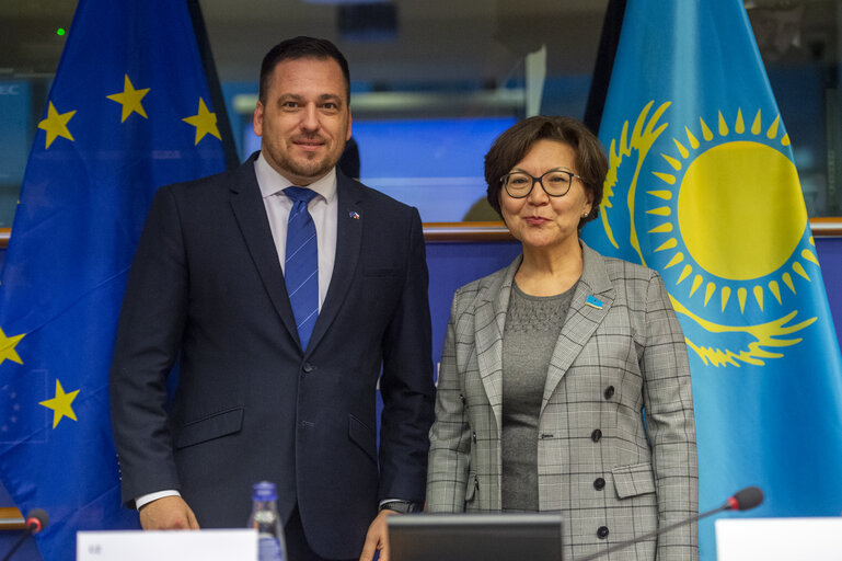 Fotografija 13: 20th EU-Kazakhstan Parliamentary Cooperation Committee (PCC)