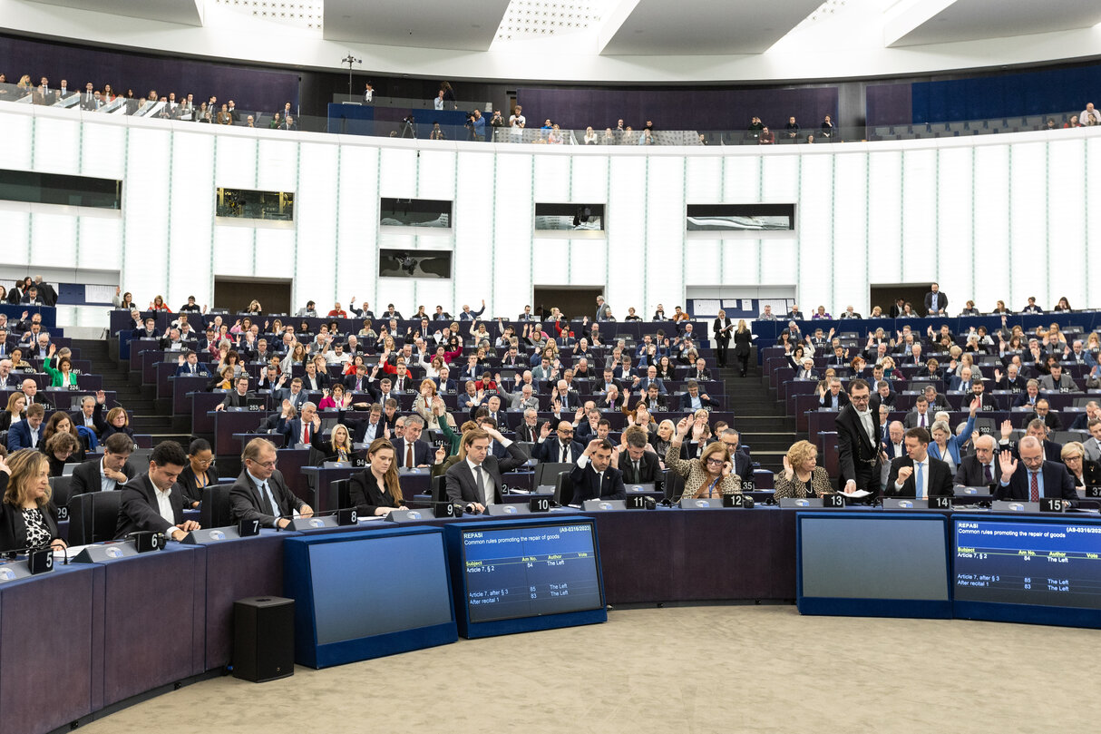 EP Plenary session - Voting session