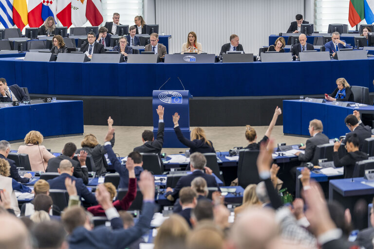 Fotografia 3: EP Plenary session - Voting session including 2024 budget procedure and signing ceremony