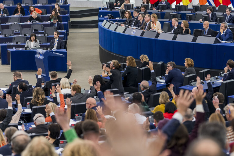 Fotografia 9: EP Plenary session - Voting session including 2024 budget procedure and signing ceremony