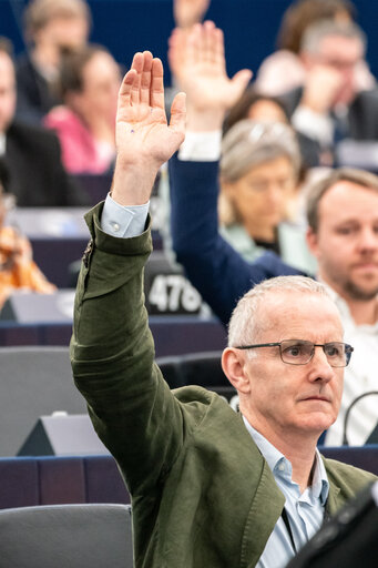 Suriet 17: EP Plenary session - Voting session