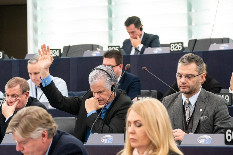 EP Plenary session - Voting session