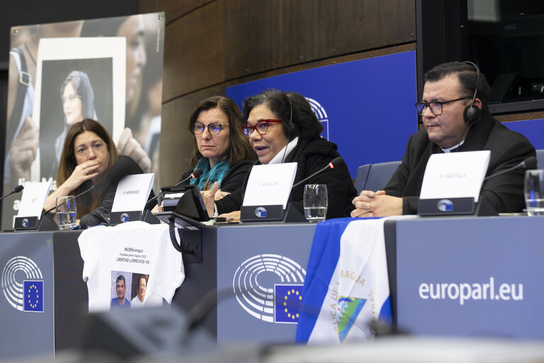 Media Seminar - European Parliament Sakharov Prize for Freedom of Thought - Meeting with finalists