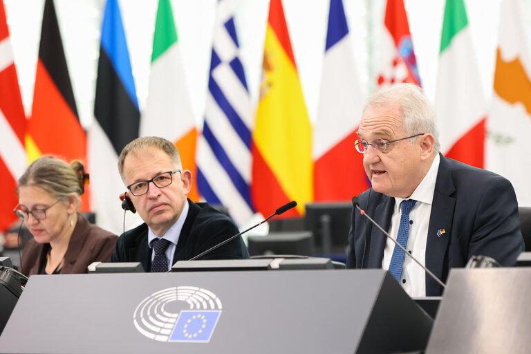 EP Plenary session - Voting session