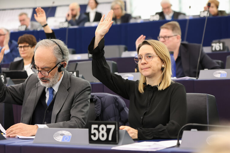 Valokuva 14: EP Plenary session - Voting session