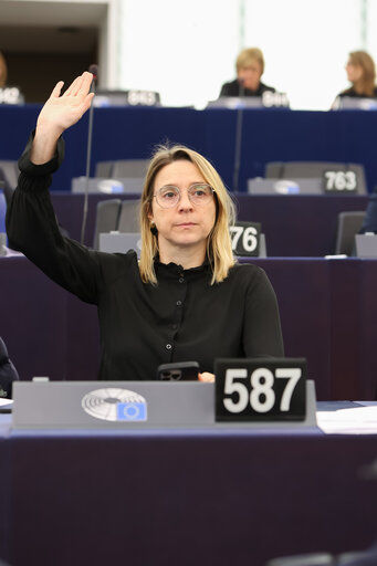 Fotografi 13: EP Plenary session - Voting session