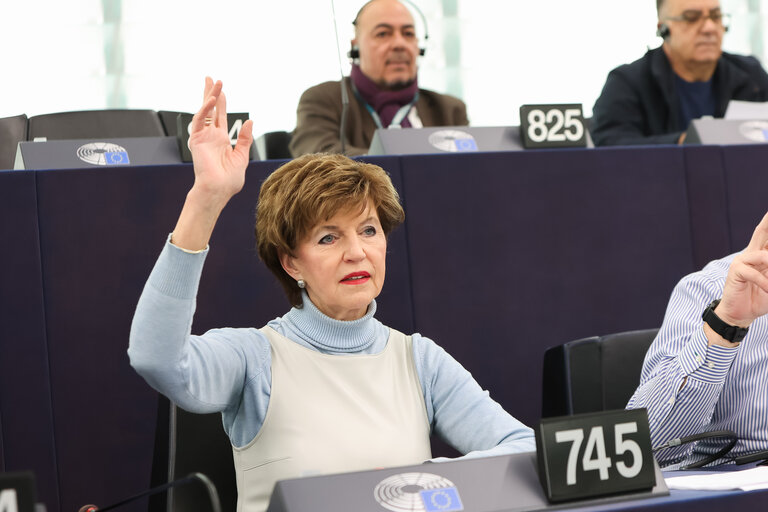 Φωτογραφία 18: EP Plenary session - Voting session