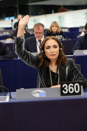 Φωτογραφία 11: EP Plenary session - Voting session