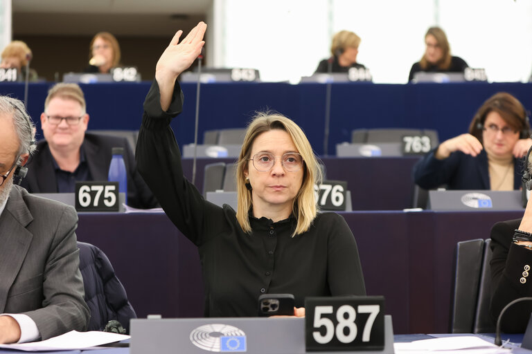 Zdjęcie 15: EP Plenary session - Voting session