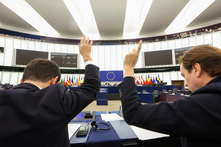 Valokuva 4: EP Plenary session - Voting session