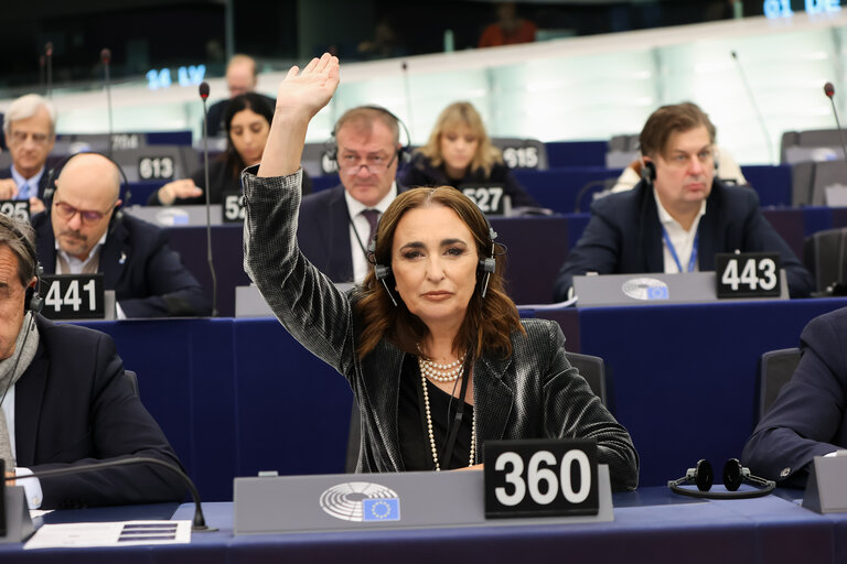 Φωτογραφία 12: EP Plenary session - Voting session