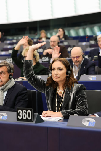 Fotografi 10: EP Plenary session - Voting session