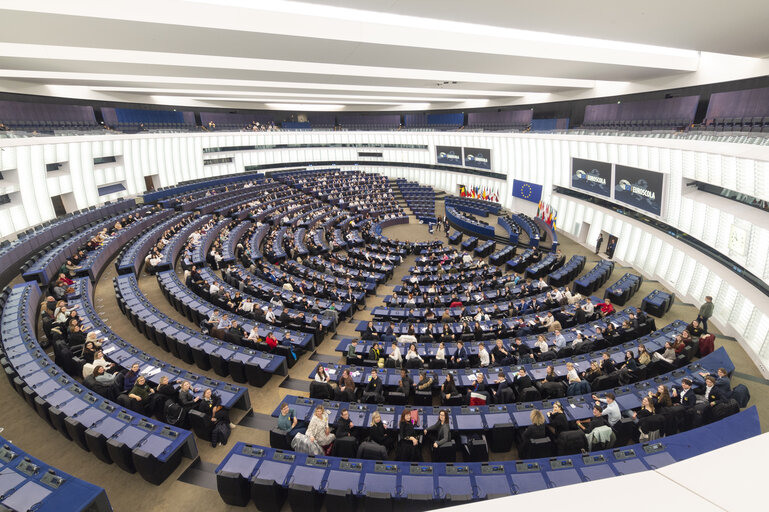 Photo 29: Euroscola