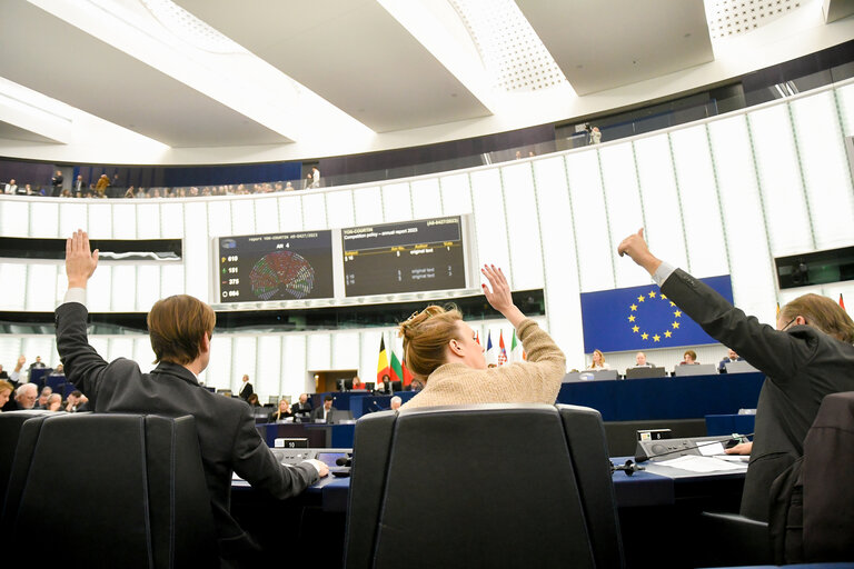 Снимка 5: EP Plenary session - Voting session