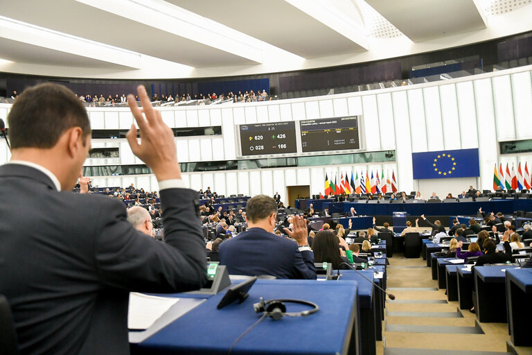 Fotogrāfija 4: EP Plenary session - Voting session