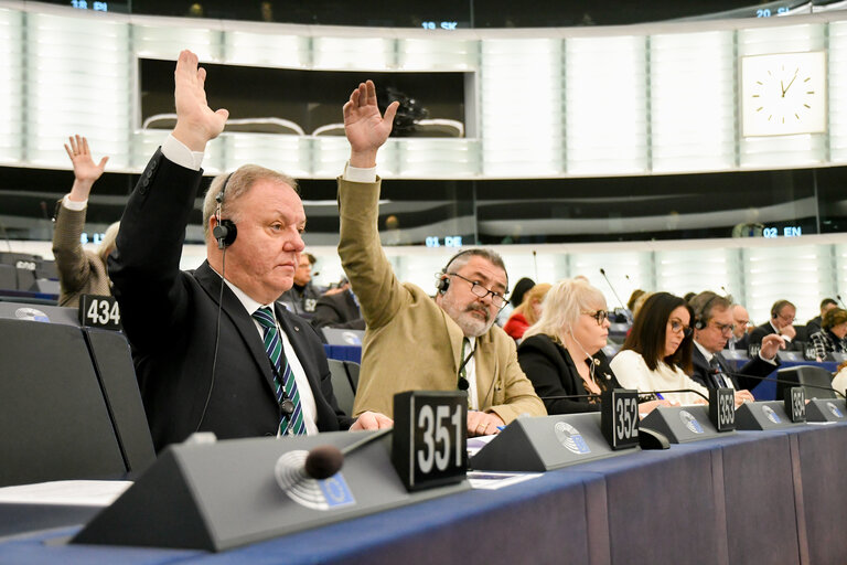 Fotografi 11: EP Plenary session - Voting session