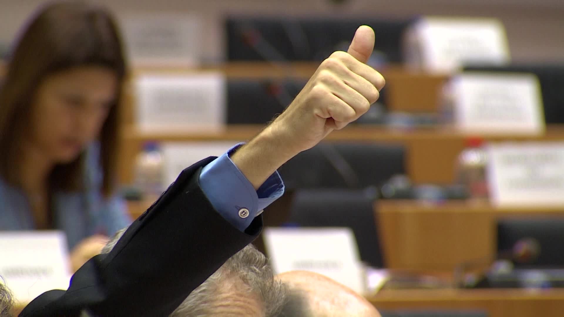 Laying down rules on the making available on the market of CE marked fertilising products: extracts from the vote and statement by Ildikó GÁLL-PELCZ (EPP, HU), Rapporteur