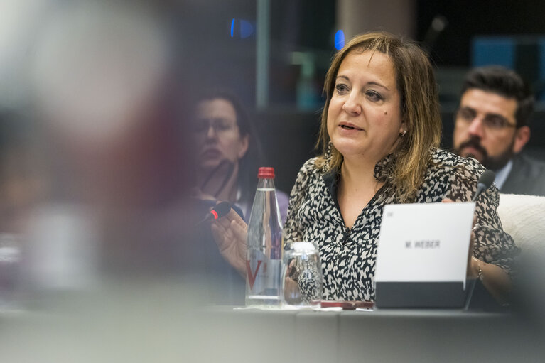 Meeting of the EP Conference of President.