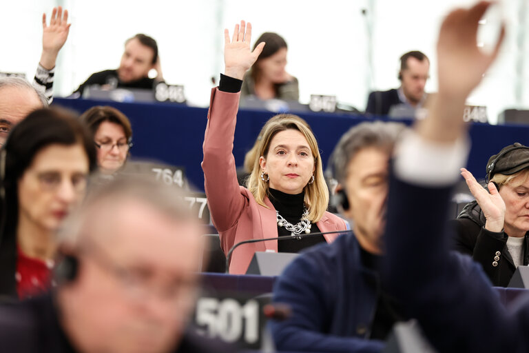 Fotografie 25: EP Plenary session - Voting session